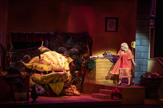 LITTLESHOPOFHORRORS-198