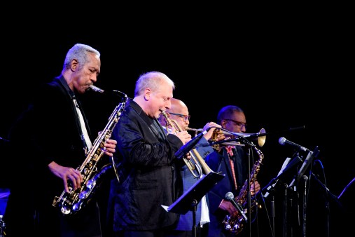 Dive In by Leigh Webber leighwebber.com