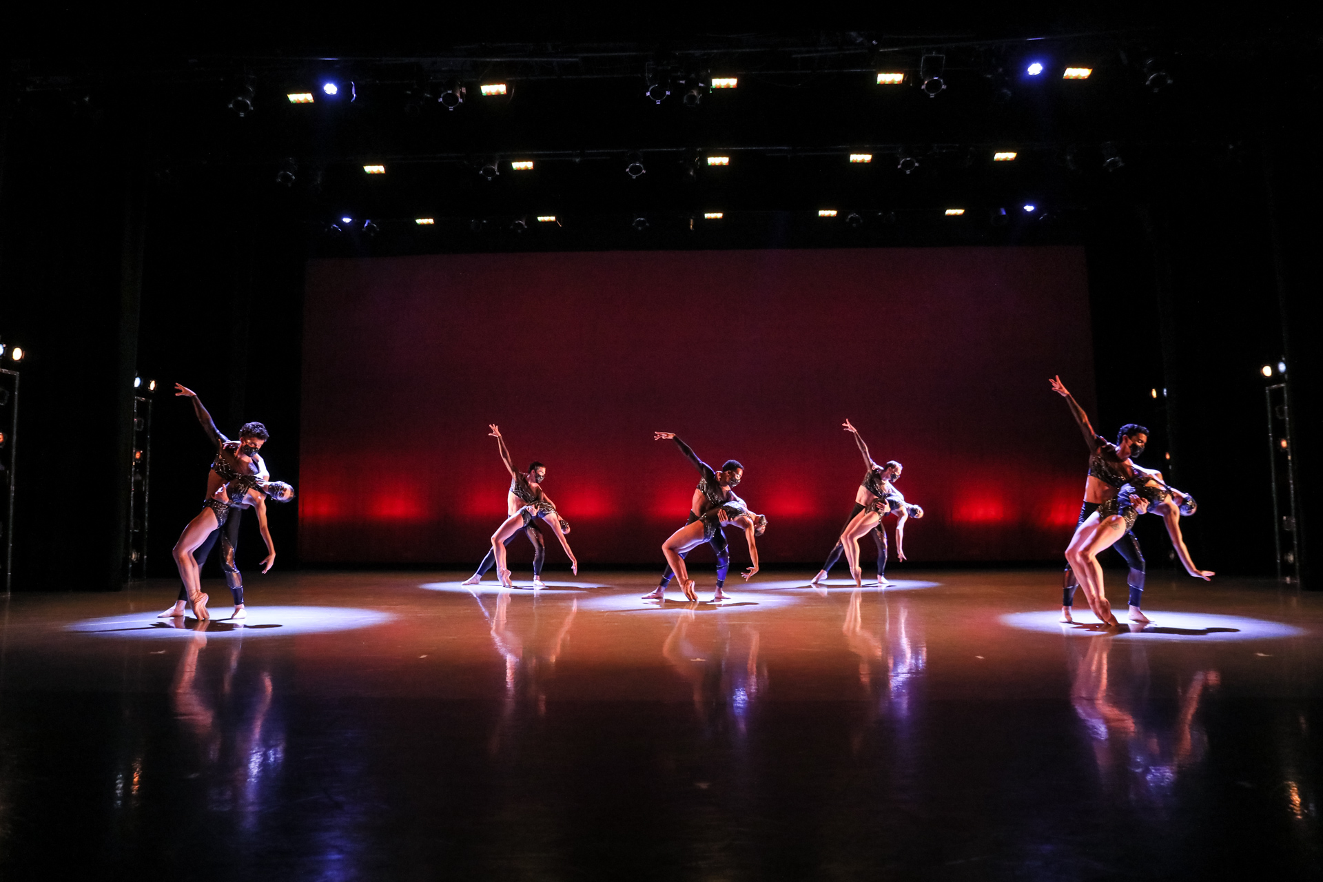 Innov1970 gypsy moths photo by Jeff Cravotta