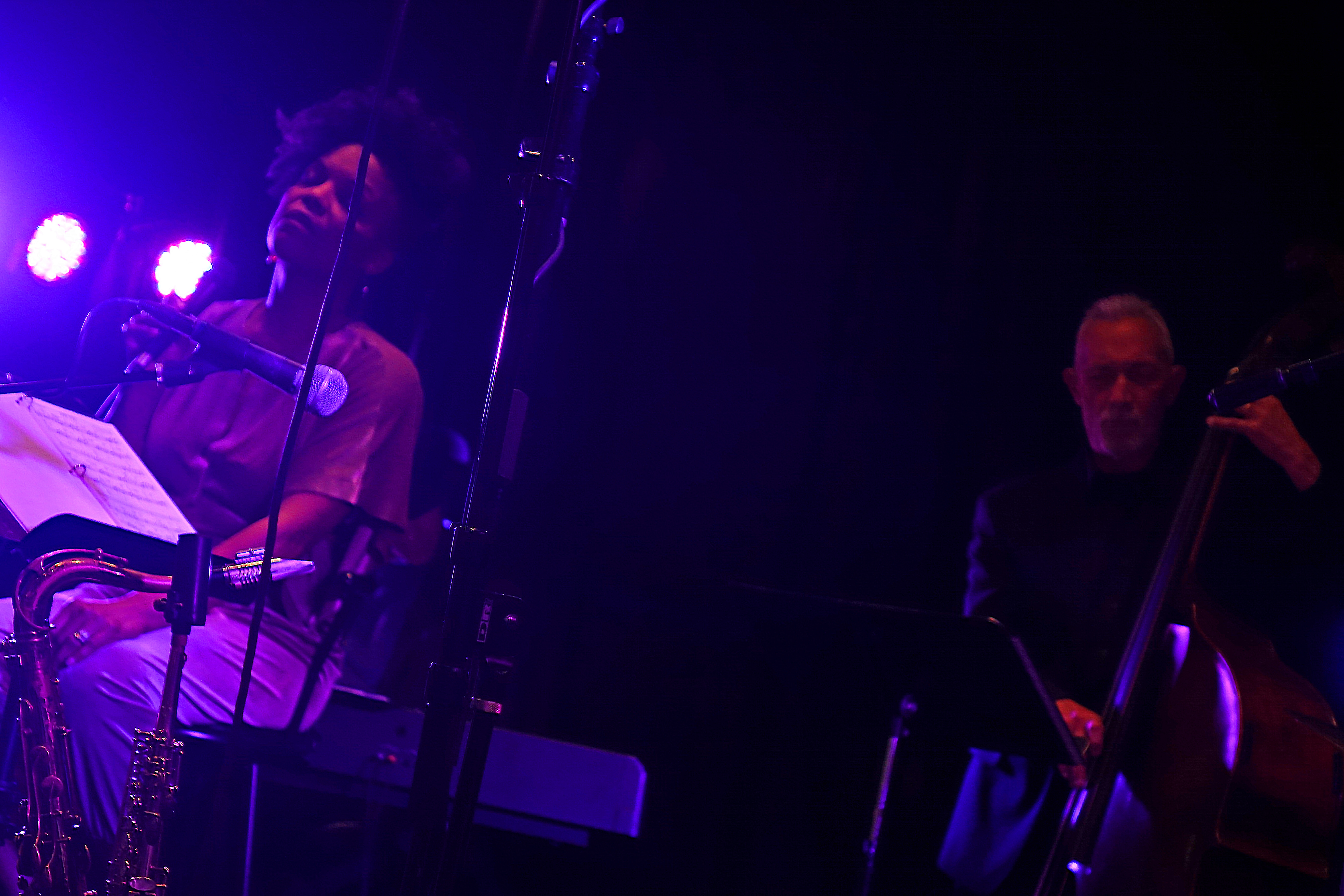 2022~Nnenna Freelon-01